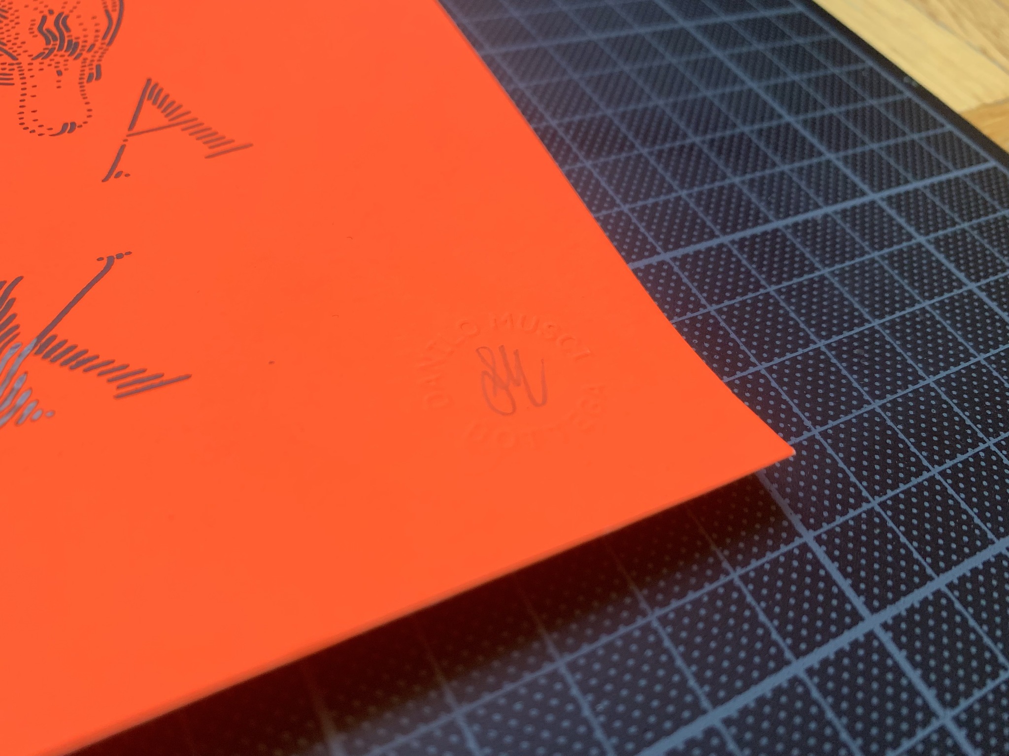 I don't give a duck - Image 3